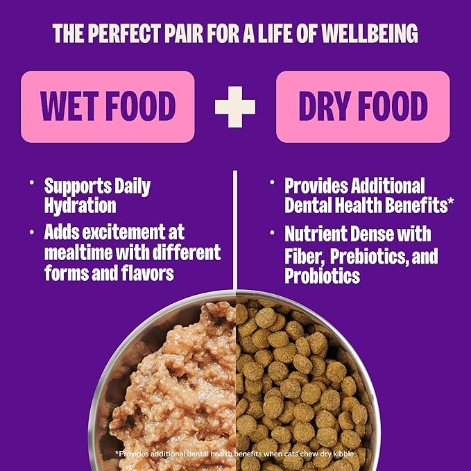 Wellness Complete Health Pate Adult Wet Cat Food,Natural,Protein-Rich,Grain-Free,3 Ounce,(Chicken & Turkey Variety Pack),(Pack of 48)
