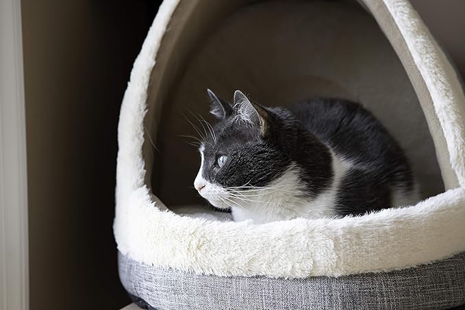 Best Pet Supplies Dog House Bed Crate Mat Tent Indoor Round Soft Plush for Small, Medium, and Large Breeds - Gray, 17 x 15 x 14"