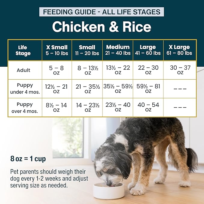 JustFoodForDogs Pantry Fresh Wet Dog-Food, Complete Meal or Dog Food Topper, Chicken & White Rice Human Grade Dog-Food Recipe - 12.5 oz, (Pack of 24)