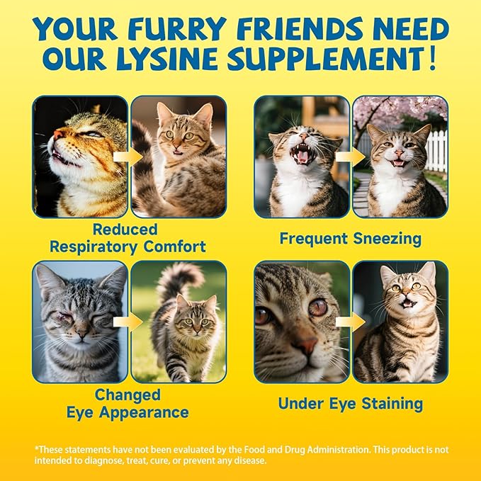 L-Lysine Supplement for Cats Immune Support, Cats Lysine Drops for Feline Respiratory, Sneezing, Runny Nose, Eye Function, Natural Strengthen Defenses-Natural Chicken Flavor, 2FL oz