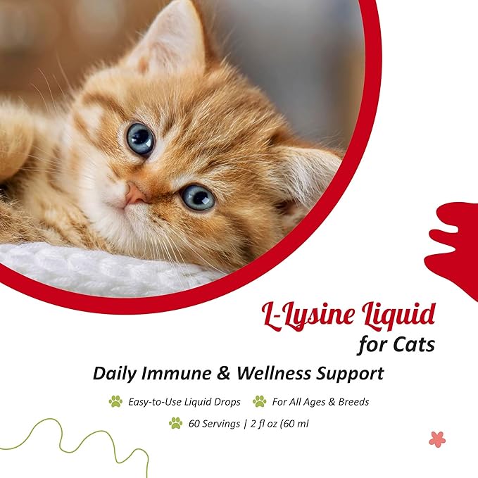 L-Lysine Liquid Supplement for Cats – Immune & Respiratory Support – Supports Eye Health, Sneezing & Runny Nose – 60ml Liquid Drops – Roast Chicken Flavor