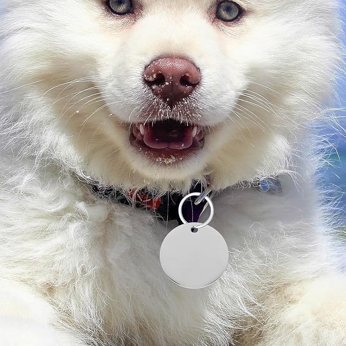 Luxshiny 10pcs Stainless Steel Dog Tag Blanks Round Stamping Pendant 30mm Metal Id Tags for Pet Collar Engraving Supplies