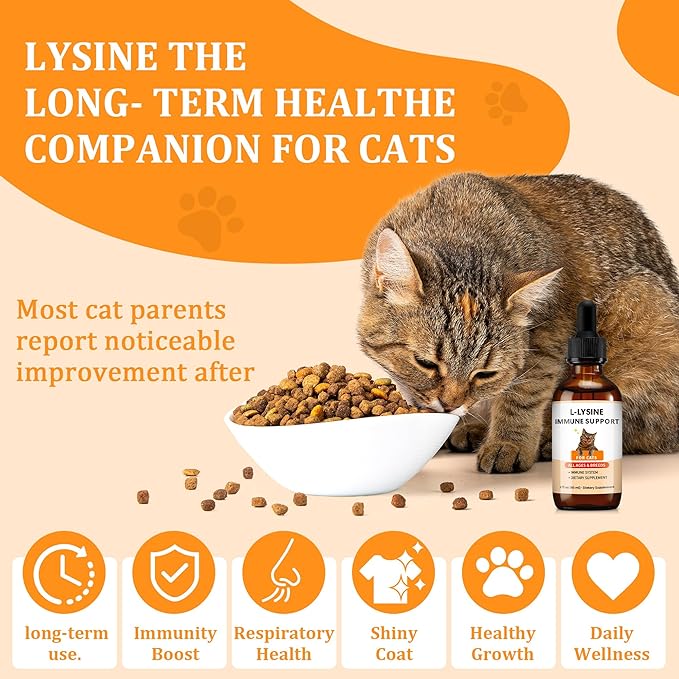 L-Lysine Supplement for Cats – Immune & Respiratory Support – 60ml Cat Lysine Drops with Roast Chicken Flavor – Supports Eye & Nose Health