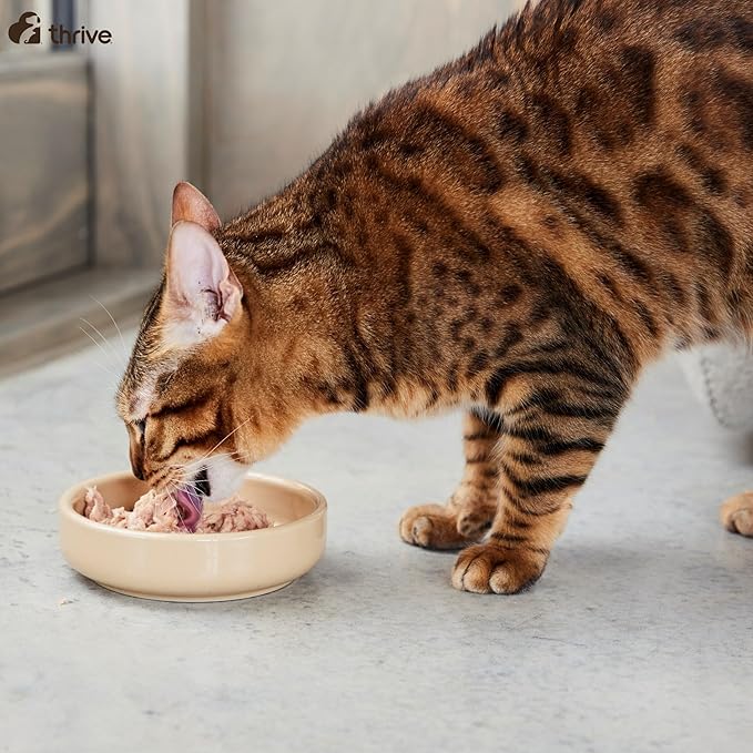 thrive Complete Cat Food 100% Chicken & Chicken Liver 12 x 75g