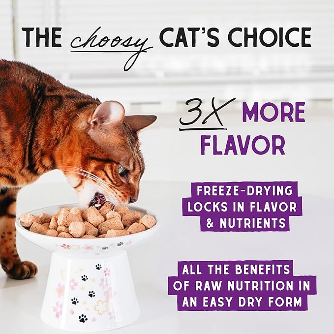 Stella & Chewy's Freeze-Dried Raw Cat Dinner Morsels - Premium Salmon & Chicken Recipe with 98% Wild-Caught & Cage-Free Protein - Natural Grain-Free Cat & Kitten Food - Made in USA - 1 oz