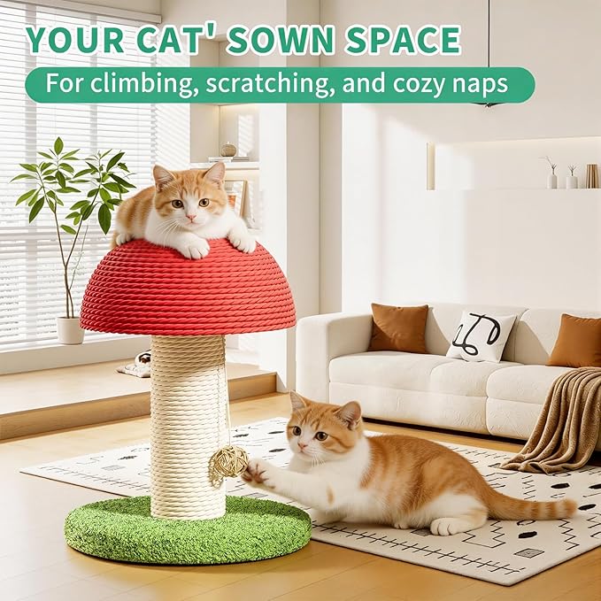 Cat Scratching Post & Cat Tree 6.3×7.1×11 in, Mushroom Shaped Small Cat Tower with Natural Sisal Rope, Durable Cat Scratcher & Cat Toy for Indoor Cats & Kittens
