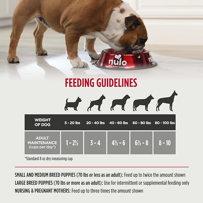 Nulo Freeze-Dried Raw Turkey Recipe with Cranberries Complete and Balanced Dry Dog Food Kibble, 18 Ounce Bag