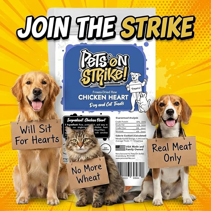 Freeze Dried Chicken Hearts for Dogs & Cats – Single Ingredient Dog Treats – USA Sourced & Made – High Protein, All Natural, Grain Free – Raw Freeze-Dried Training Treats (3oz)
