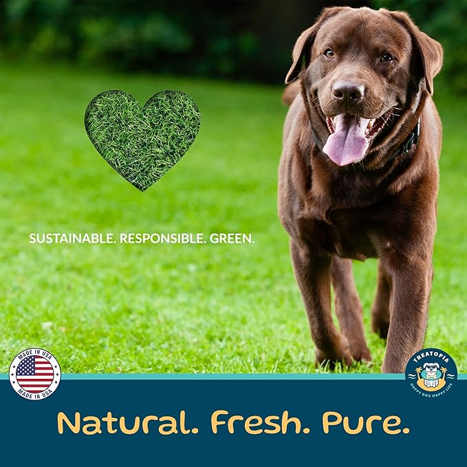 TREATOPIA Protein Crumbles Meal Topper for Dogs & Cats, 8 Oz Shaker Bottle - All-Natural Beef Lung & Liver Appetite Stimulant Seasoning, High-Protein, Healthy Treat, Slow-Roasted, Made in The USA
