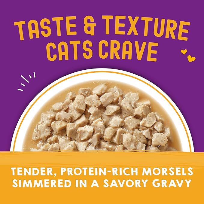Stella & Chewy's Carnivore Cravings Wet Cat Food Pouches - Premium Chicken & Beef Recipe - Grain-Free Morsels & Gravy - Perfect for Picky Eaters - Complete Meal or Topper - 2.8oz, 24-Pack