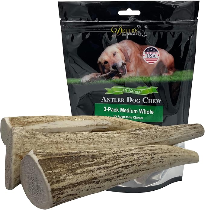 3-Pack Medium Whole Elk Antler Dog Chews (5.5-8+ in) – Long Lasting Natural Dog Chews for Medium Dogs & Aggressive Chewers Under 40 lbs – Durable Bone for Teeth Cleaning & Boredom