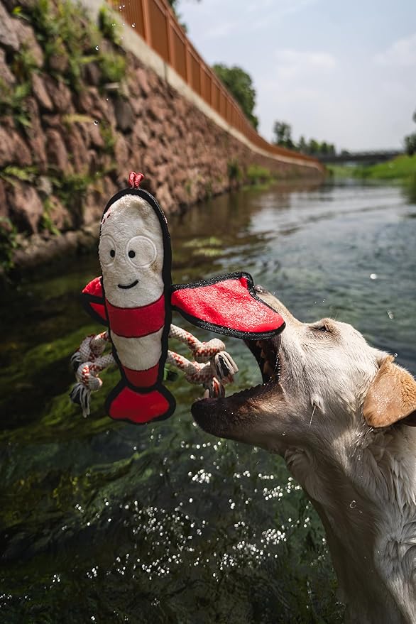 Dog Toy, Squeaky Plush Dog Toy, Rough & Tough Interactive Pet Toy, Recycled Fabric and Double Stitched (Lobster)