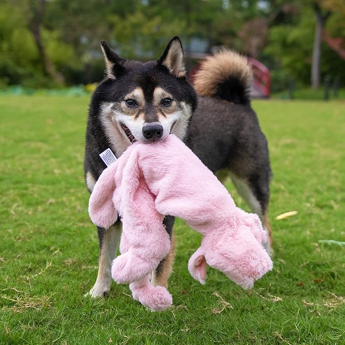 Best Pet Supplies Squeaky Dog Toys with Soft Durable Fabric for Small, Medium and Large Pets Interactive Toy for Indoor Play, Supports Active Biting and Play - 1Wild Duck, Pig, Large
