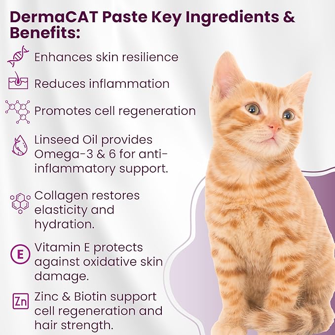 Bio PetActive DermaCAT Skin & Coat Health Supplement Paste for Cats with Biotin, Flaxseed Oil Omega-3, Collagen, Zinc, Prebiotic MOS & Vitamin E – Supports Shiny Coat, Minimize Shedding – 3.38 oz