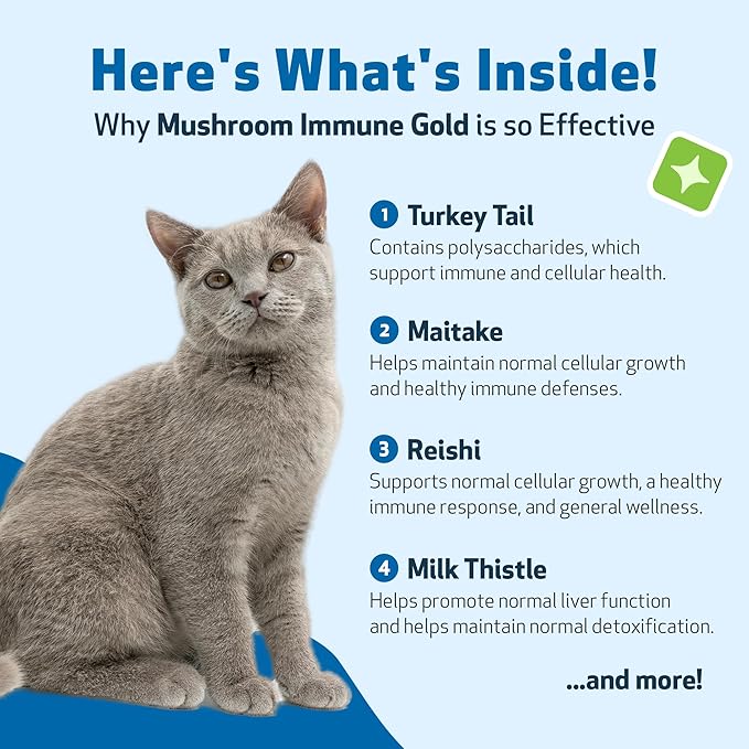 Pet Wellbeing Mushroom Immune Gold for Cats - Complementary Immune Support with Functional Mushrooms Reishi, Maitake & Turkey Tail - NASC Certified & Vet-Formulated - 8 oz Liquid Formula