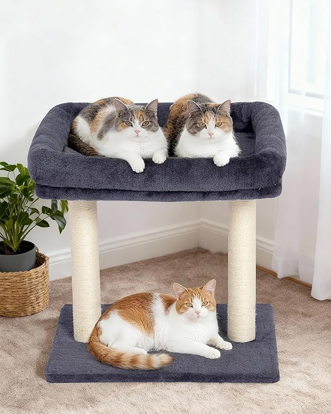 Cat Tree with Large Top Perch Bed (19"×15.8"), Small Cat Tower with Scratching Post for Indoor Cats, Dual Natural Sisal Scratcher,Space-Saving,Removable Bed (Dark Gray)