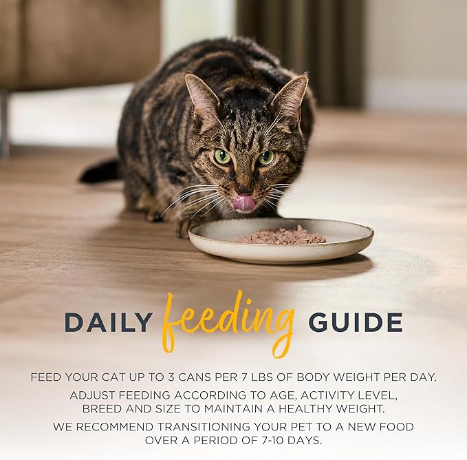 Reveal Entrées Natural Wet Cat Food, Grain-Free with Added Vitamins & Minerals, Carrageenan-Free and High Protein, Variety Selection in Broth (12 x 2.47 oz cans)