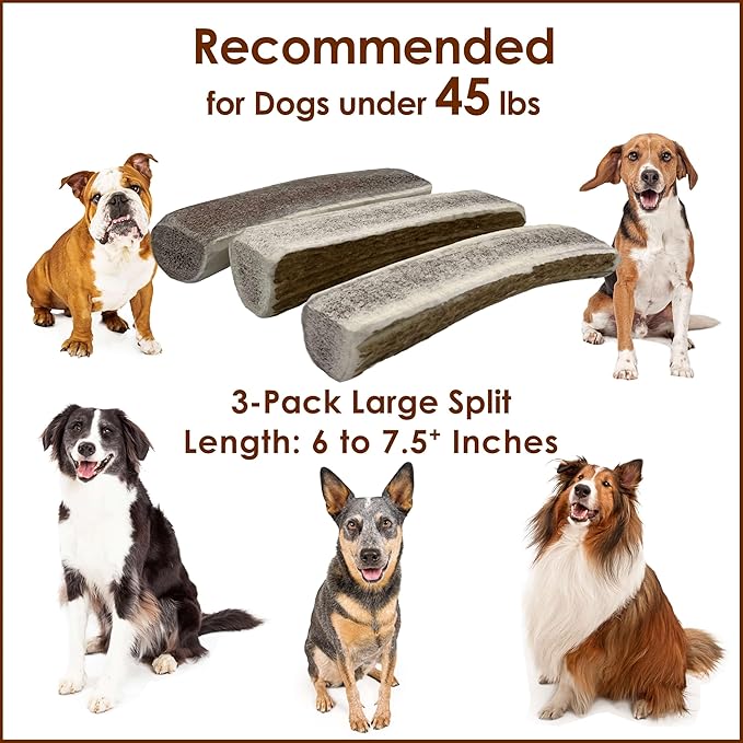3-Pack Large Split Elk Antler Dog Chews (6 to 7.5+ in) – All-Natural, Long-Lasting Antlers for Small & Medium Dogs Under 45 lbs, Gentle Chewers & Puppies, Dental Health & Odorless