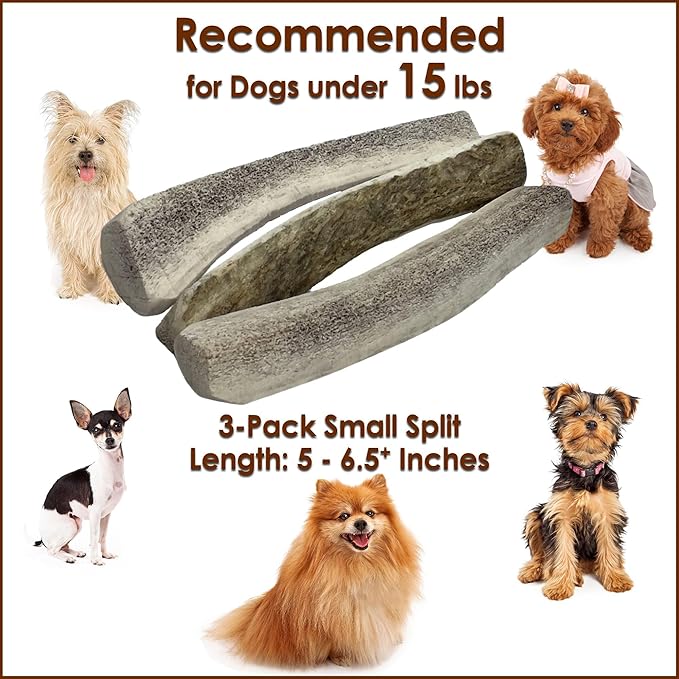 3-Pack Small Split Elk Antler Dog Chews (5 to 6.5+ in) – All Natural, Premium Grade A, Odor-Free, USA-Sourced – Long-Lasting Dental Treats for Toy and Small Dogs Under 15 lbs