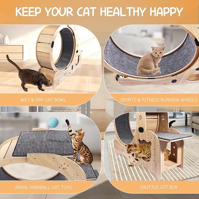 Cat Wheel 6-in-1 Upgraded Exercise Wheel for Indoor Cats: Large Treadmill with Silent Running Wheel, Perfect Cat Furniture & Toy for Endless Fun & Fitness