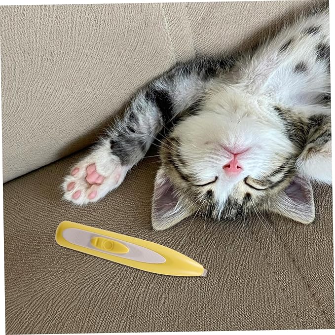 1set Professional Pet Grooming Clippers Rechargeable Dog Cat Hair Trimmer Mute Electric Hair Removal Tool for Pet Shop
