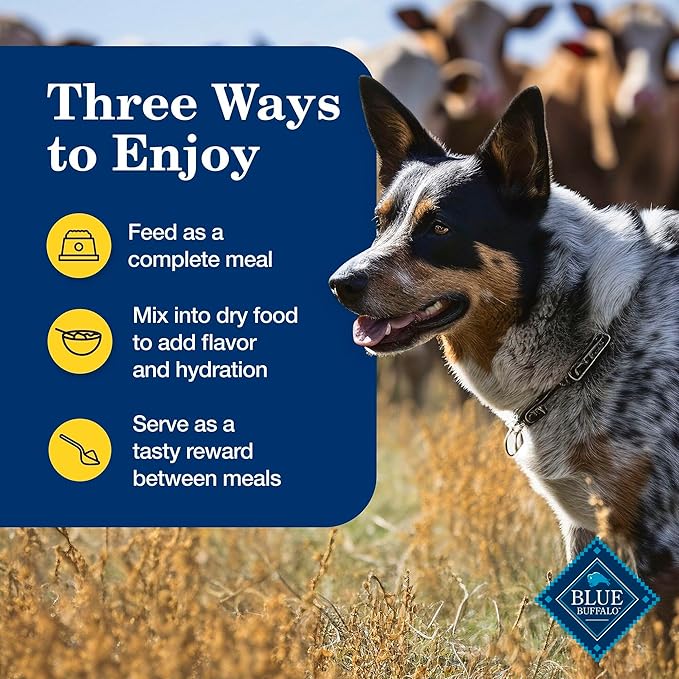 Blue Buffalo Homestyle Recipe Healthy Weight Chicken Dinner with Garden Vegetables Wet Dog Food for Adult Dogs, Chicken Recipe, 12.5 oz. Cans, 3 Count