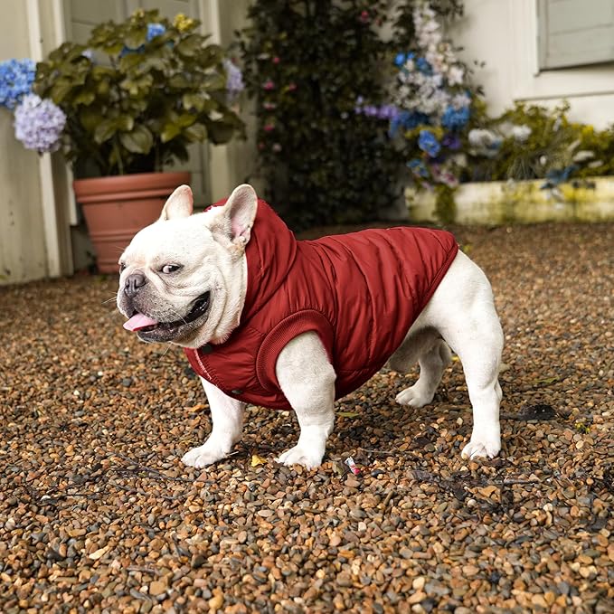 Fleece Lining Extra Warm Dog Hoodie in Winter for Large Dogs Jacket Pet Coats with Hooded,Red XXXL