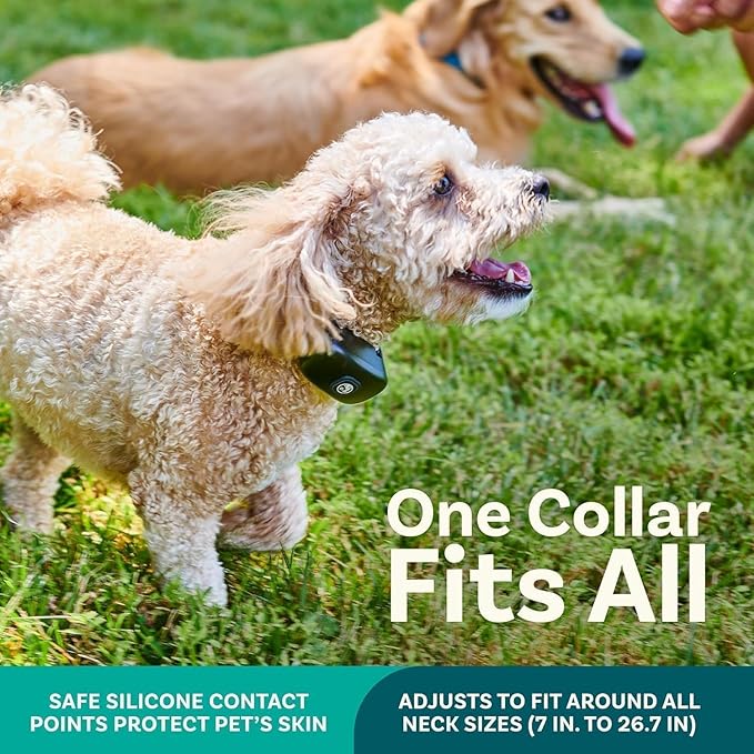 Wireless Dog Training Collar 2-in-1 | 500 ft Adjustable Boundary | Beep/Vibrate/Static 1–9 Levels | IPX7 Waterproof Receiver | Rechargeable | 10 Flags for Medium & Large Dogs | 15–77 lb