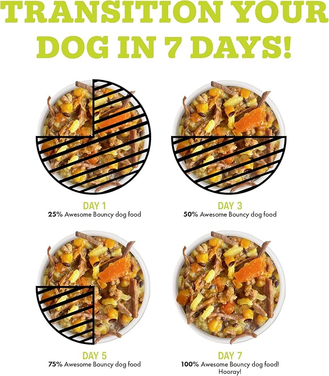Weruva Awesome Bouncy Wet Dog Food, Beef & Brown Rice, 14oz Can (Pack of 10)