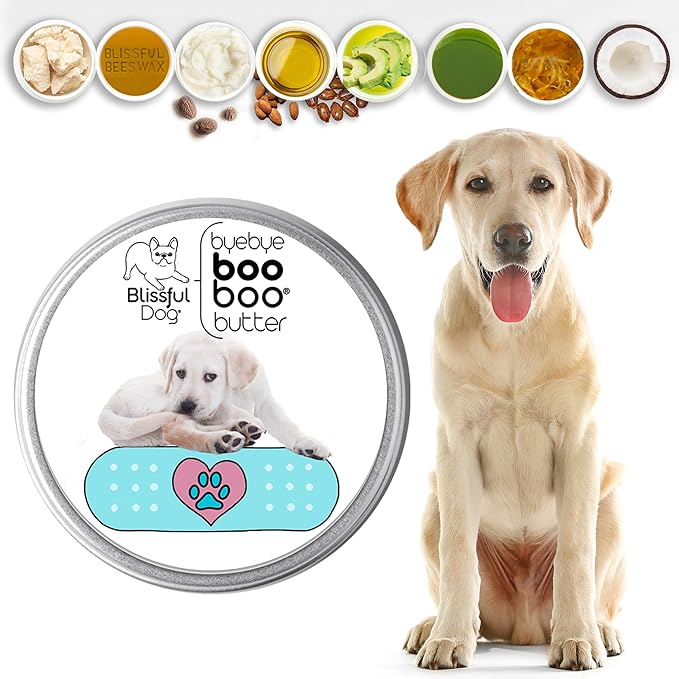 The Blissful Dog BB-LAB-16OZ Labrador Retriever Boo Butter, 16 oz.