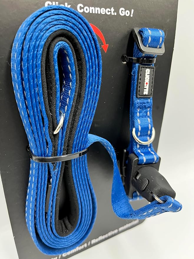 Clickette- Magnetic Quick-Lock Collar & Leash (Bue, Small)