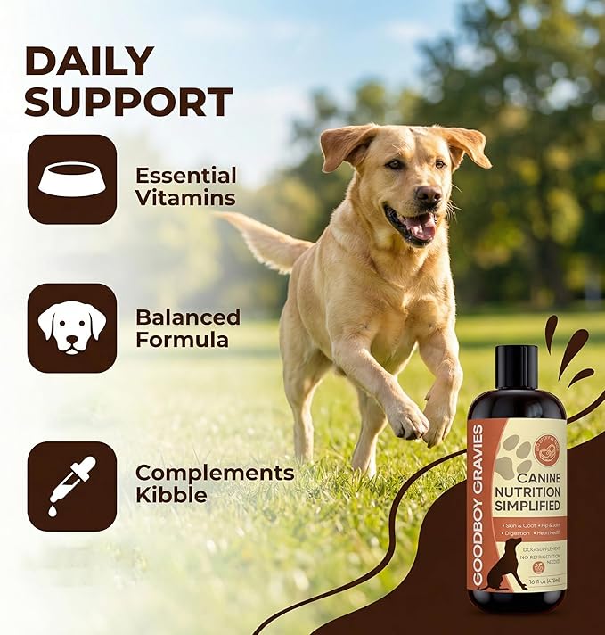 Gravies for Dogs, Premium Wet Dog Food Gravy Topper for Dry Food, Tasty & Nutritious with Essential Vitamins & Supportive Ingredients, Hip & Joint Wellness Support