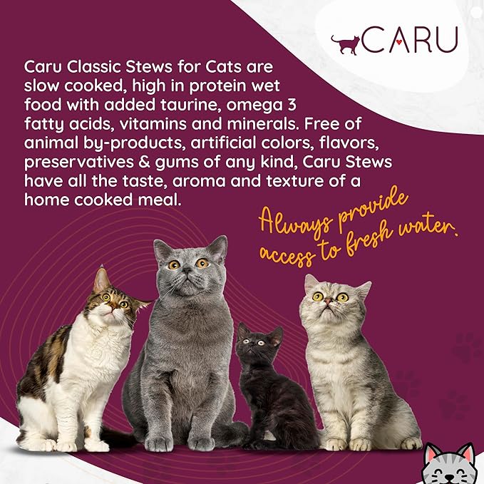 Chicken Stew for Cats, Natural Cat Food with Added Vitamins, Non-GMO Ingredients, Complete & Balanced for All Stages of Life (5.5oz) - Case of 12