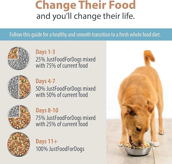 Just Food for Dogs Nutrient Blend, Vitamins and Supplements for Homemade Dog Food, Turkey and Whole Wheat Macacroni, DIY Fresh Pet Meals and Toppers, Human Grade Quality, 4.55oz
