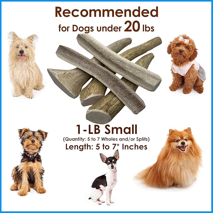 1-LB Small Mixed Whole & Split Elk Antler Dog Chews (5–7+ in) – Natural Long-Lasting Chews for Dogs Under 20 lbs – Rawhide-Free Treats for Dental Health