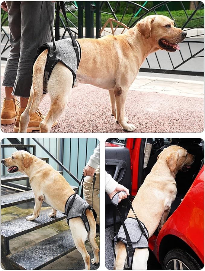 Dog for Large Dogs Back Lift Harness for Injured Elderly Dogs Disabled Pet Supplies for Back Legs Accessories