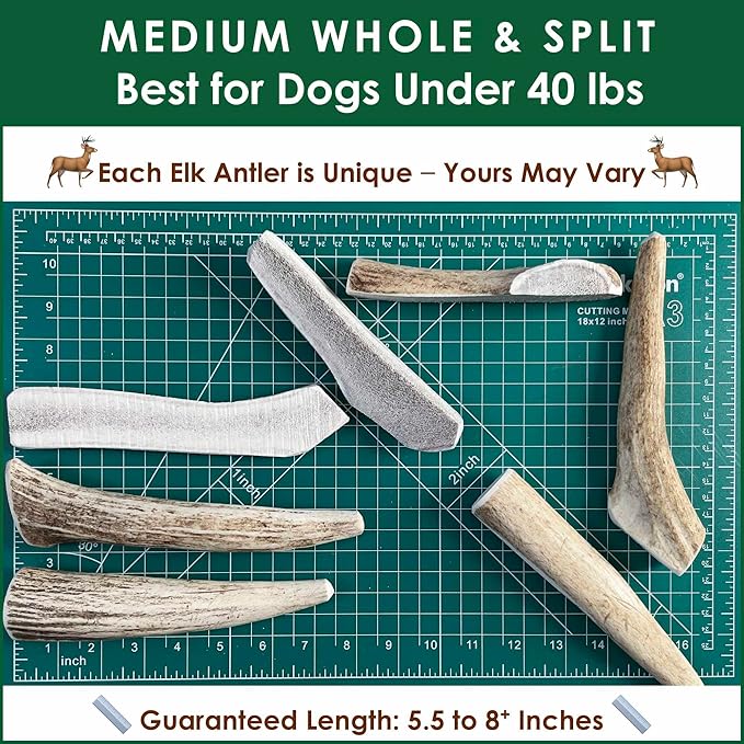 1-LB Medium Mixed Whole & Split Elk Antler Dog Chews (5.5-8+ in) – Long Lasting Natural Treats for Small to Medium Dogs Under 40 lbs – Durable Bones for Teeth Cleaning