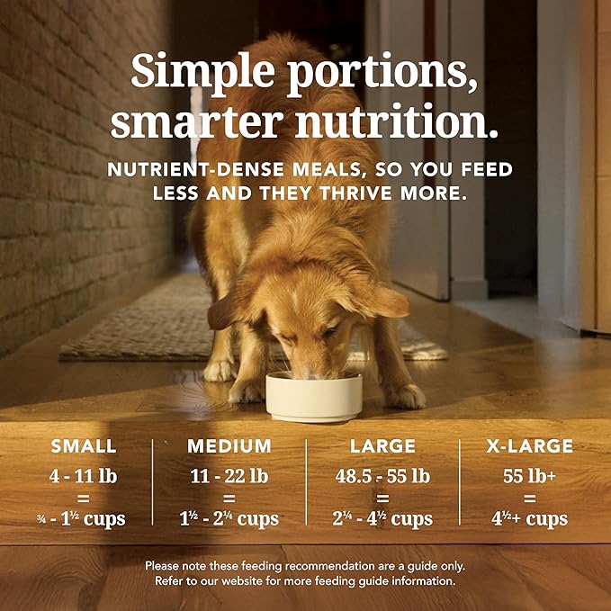 K9 Natural - Grain Free Freeze Dried Dog Food - Lamb & Salmon, 17.6oz