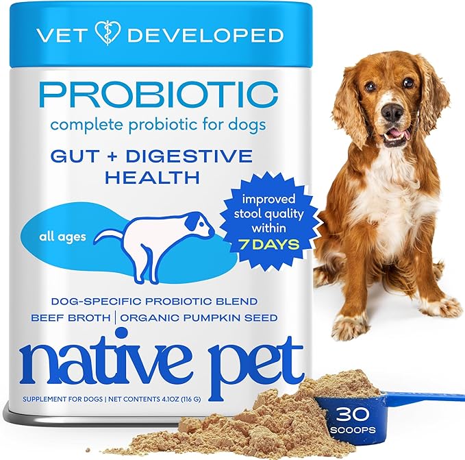 Native Pet Probiotics for Dogs - Dog Probiotics Powder for Digestive Health, Gut Support, & Immune Boost – Vet-Formulated Powder for Maximum Potency with Digestive Enzymes & Prebiotics - 30 Scoops