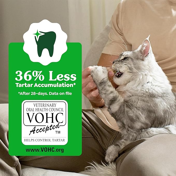 Greenies Cat Treats, Feline Veterinarian-Recommended Adult Natural Dental Cat Treats, Savory Salmon Flavor, 21 oz. Tub