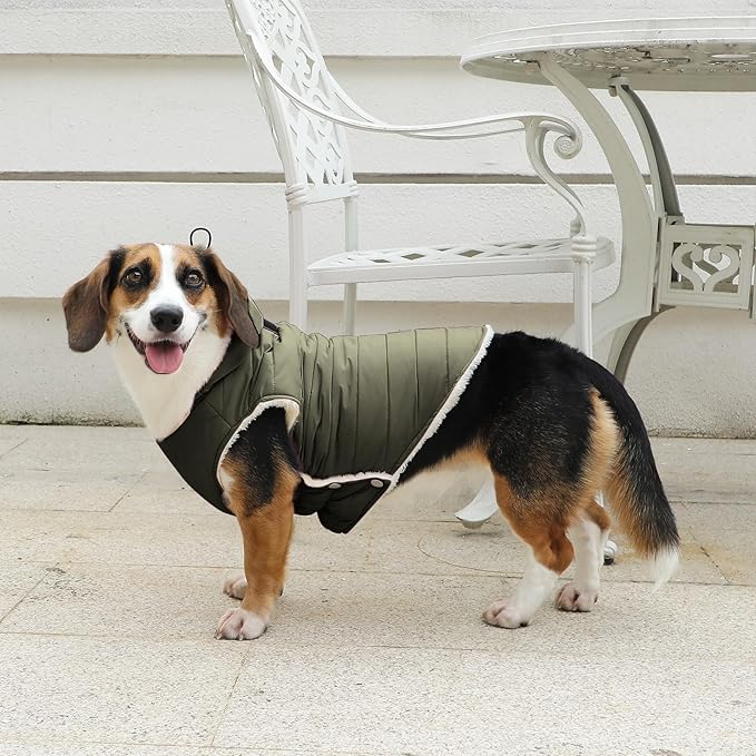 Fleece Lining Dog Hoodie with Harness Built in,Extra Warm Large Dog Jacket in Winter Doggie Coats with Drawstring Hooded,Green XXXL