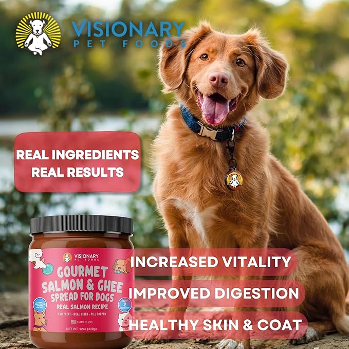 Visionary Pet Foods Salmon and Ghee Meat Spread, Dog Safe - Natural Peanut Butter Alternative - Digestive Support, No Additives - Meal Topper or Lick Mat Treat - 12oz Jar