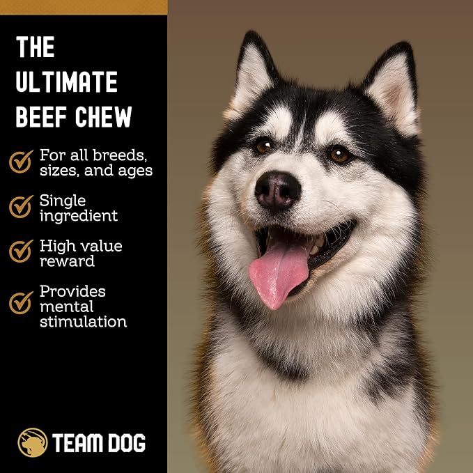 Team Dog Beef Trachea Dog Chews | Single Ingredient Treat | 100% Freeze Dried Beef Gullet Sticks for Dogs | Supports Healthy Teeth & Gums | All Natural Esophagus Dog Treats Made in USA | 3 Per Bag