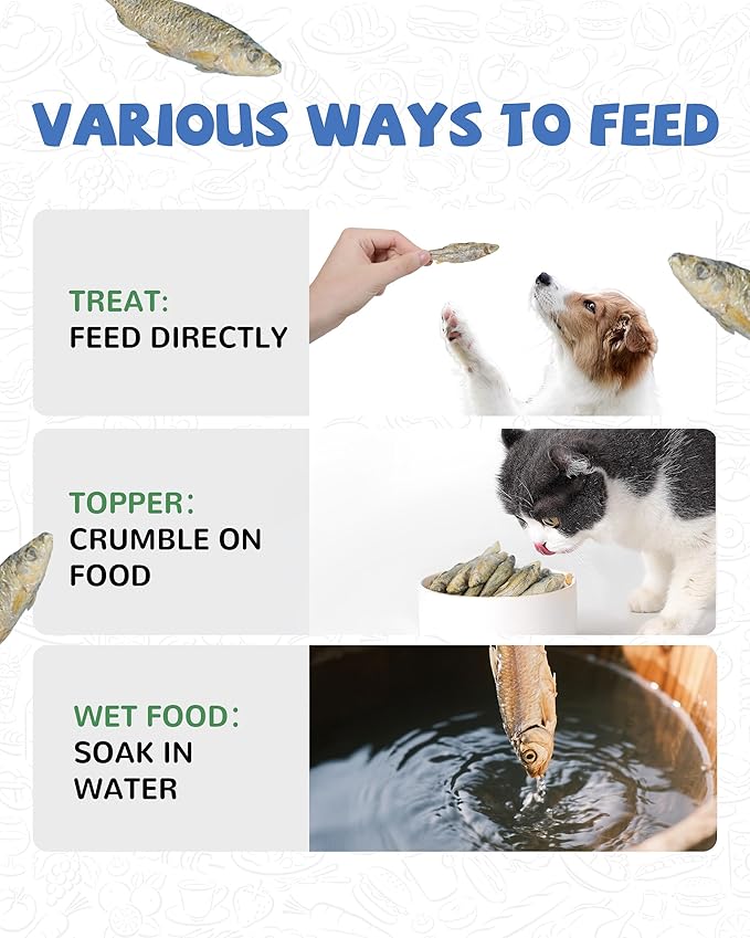PAWUP Freeze Dried Minnows Dogs Treats – 100% Raw Single-Ingredient Pet Fish Snacks – Rich in Omega-3, Grain-Free – Healthy Training Rewards & Meal Toppers, 2.8 oz