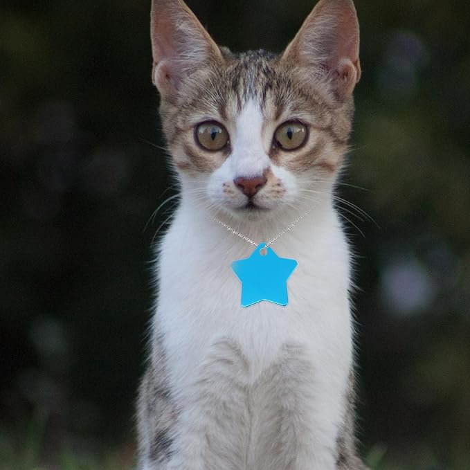 10pcs Colorful Pet Id Tags Aluminum Star-Shaped Dog Collar Pendants Sturdy Address Neck Tags for Cats and Dogs Anti-Lost Pet Supplies Random Color