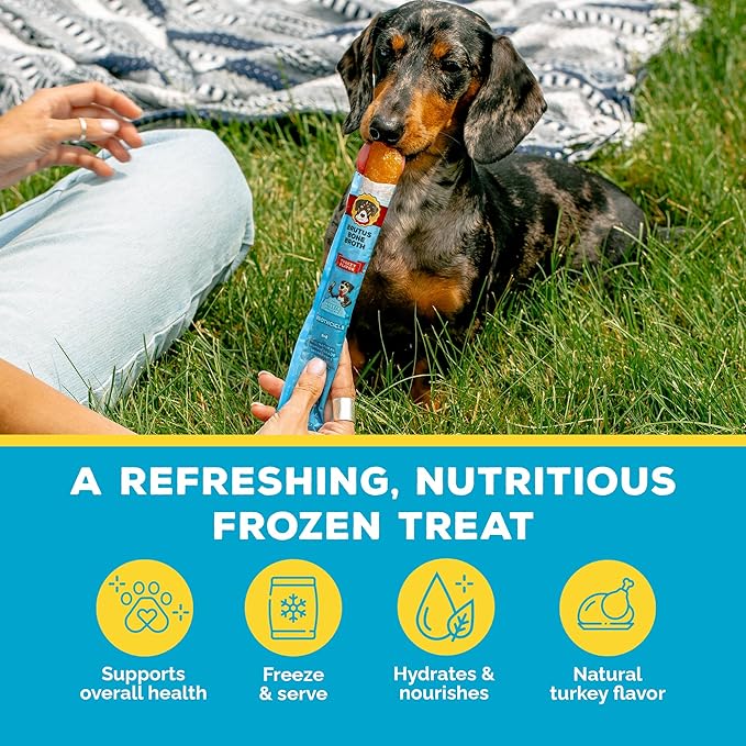 Brutus Brothcicles - All Natural Turkey Flavored - Frozen Dog Superfood Treats for Hydration and Snacking