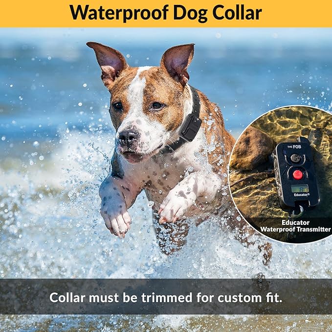 Educator FOB 300 Yard Dog Training Collar with Remote and Finger Button, Humane Stimulation, Pavlovian Tone, Waterproof, Odorproof Biothane Collar, Night Light, Rechargeable, 2 Dog (USA Only), Black