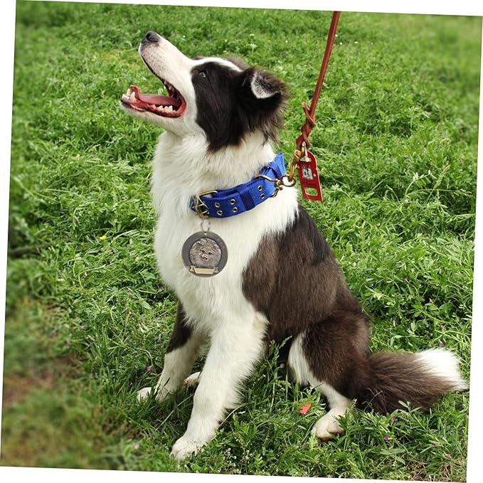 3pcs Vintage Zinc Alloy Pet Id Tags Dog Name Charms for Pomeranian with Engraved Dog Supply Collar Accessories