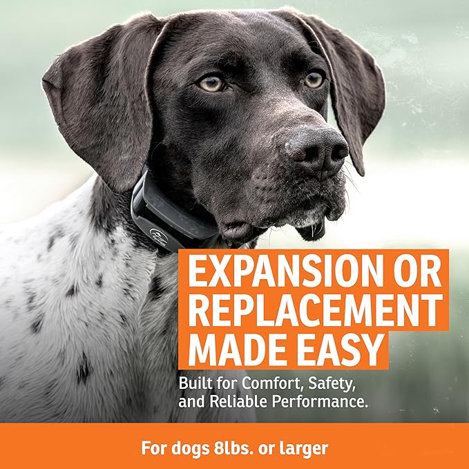 SportDOG Brand FieldTrainer 425XS Add-A-Dog Collar for Stubborn Dogs - Additional, Replacement, or Extra Collar for Your Remote Trainer - Waterproof and Rechargeable with Tone, Vibration, and Shock