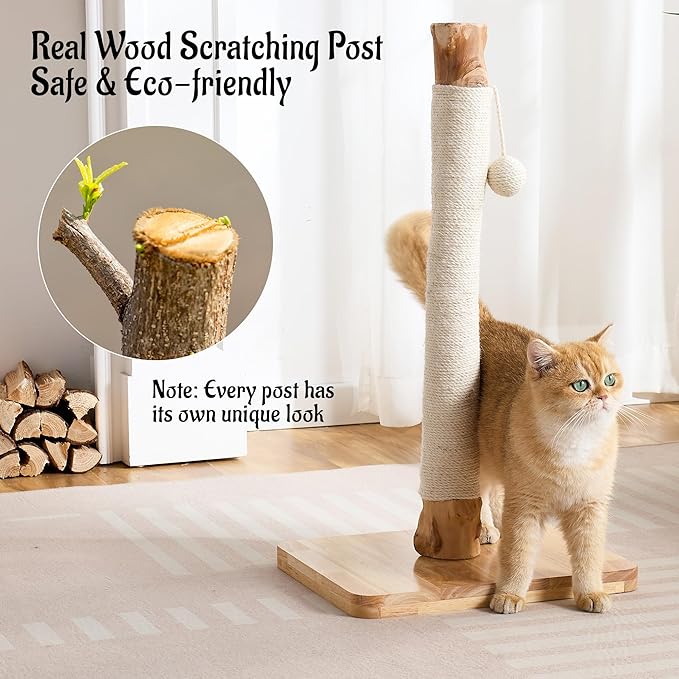 29" Tall Cat Scratching Post for Indoor Cats Adults, Extra-Stable & Natural Solid Wood Scratching Post Sisal Scratcher with Hanging Funny Ball, White